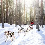 Lapland Sky Ounasvaara