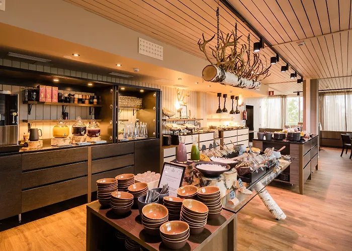 لابلاند سكاي أوناسفارا فندق 4*