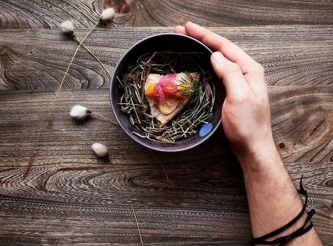 Hotel Lapland Sky Ounasvaara 4*